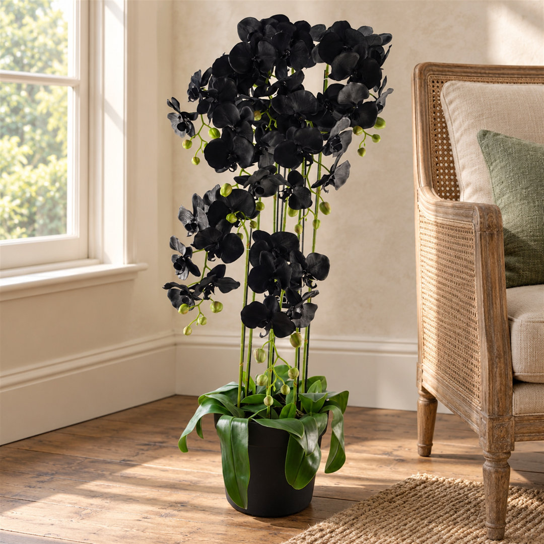 Leaf 110cm Large Black Artificial Orchid Plant - 41 Real Touch Flowers - Image 3