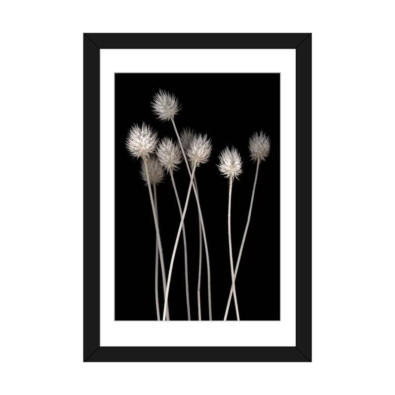 «Dried Up I», impression sur toile, H 24 po x l 16 po x P 1 po, Papier d'art encadré noir, Blanc