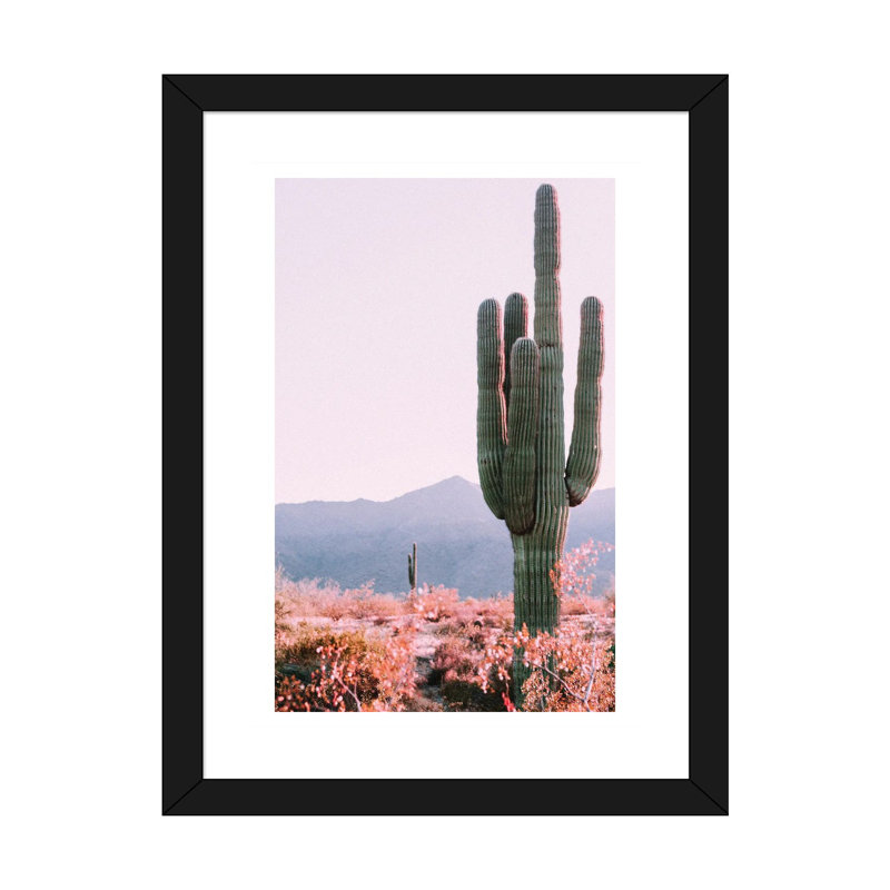 Cactus du désert - reproduction de photo, H 24 po x l 16 po x P 1 po, Papier encadré noir, Blanc