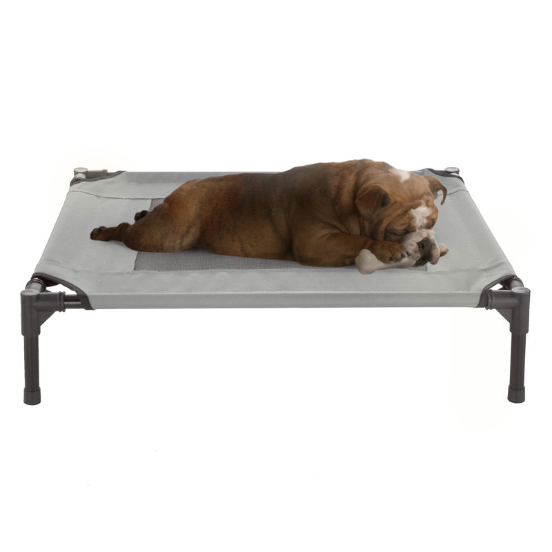 Lit pour chien surélevé PETMAker 30 x 24 pouces, Moyen (l 30 po x P 24 po x H 7 po), Gris