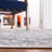 Gracie-Lou Performance Oriental Rug-824188327