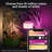 Philips Hue Calla Smart Landscape Lighting: Outdoor Colour-Changing LED Pathway Lights With App & Voice Control, Weather-Resistant Design, Requires Hue Bridge & Power Supply
