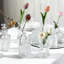 Glass Table Vase - Set of 12