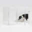Barrière murale haute pour animaux Zig Zag -68771402-111684865
