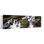 Cascade d'eau dans une forêt tropicale, parc national olympique, état de Washington, États-Unis, art contemporain contemporain, paysage mural
