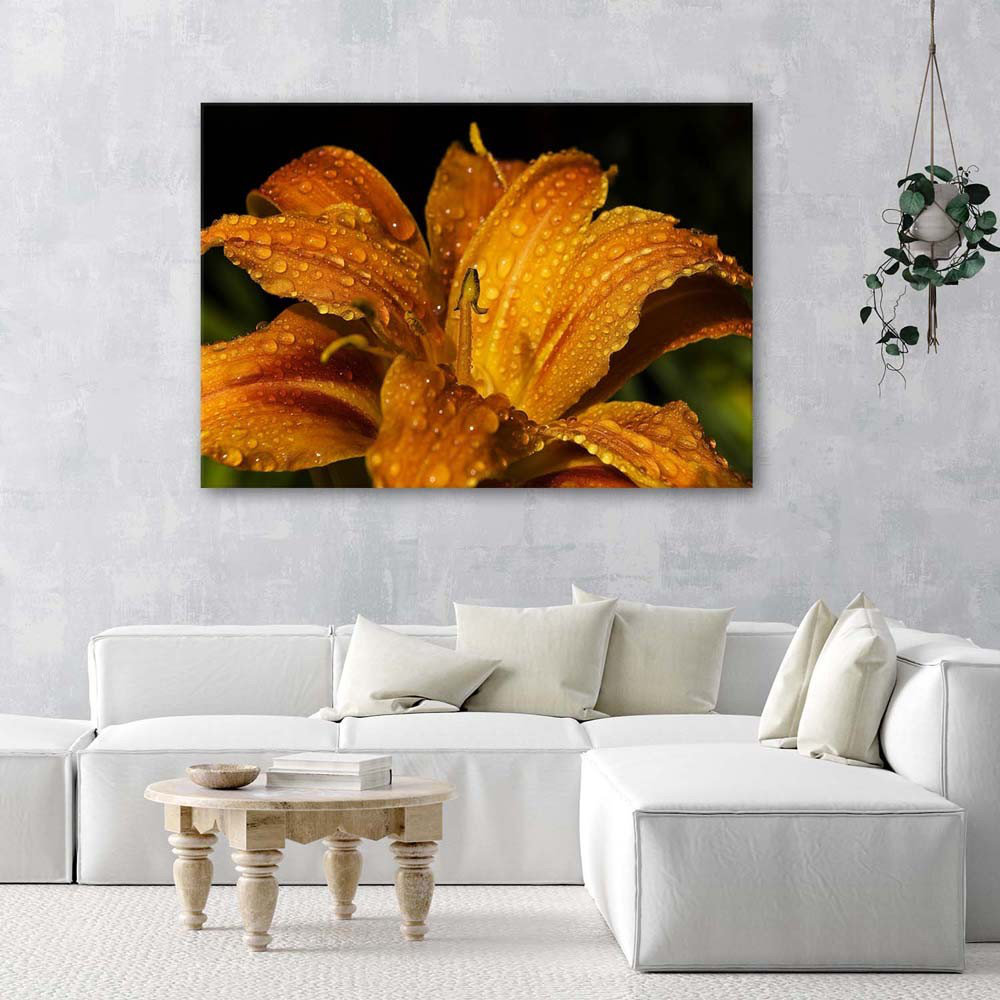 Leinwandbild Golden Lily 31232