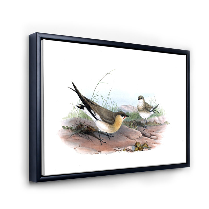 Illustration d'oiseau rétro II - impression sur toile, H 16 po x l 32 po x p 1 po, Toile avec cadre noir