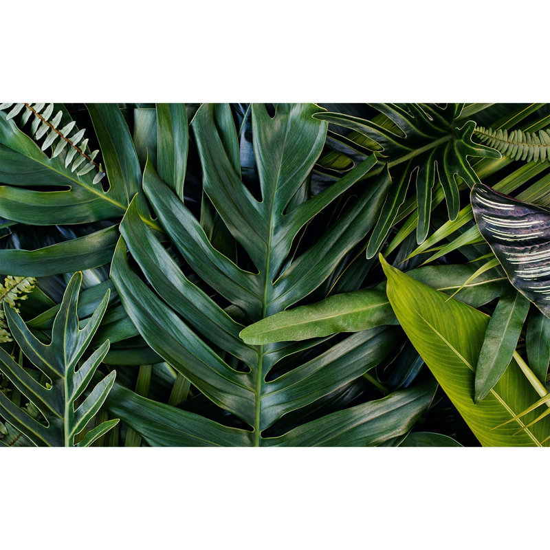 Peel & Stick Floral Border, 120" L x 192" W