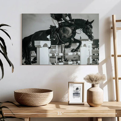 Sireci BW Equestrian Jumping