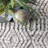 Miah Abstract Indoor Rug-1024376622