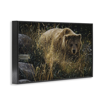 Crossing Paths Grizzly Bear Framed Giclee, design by Collin Bogle