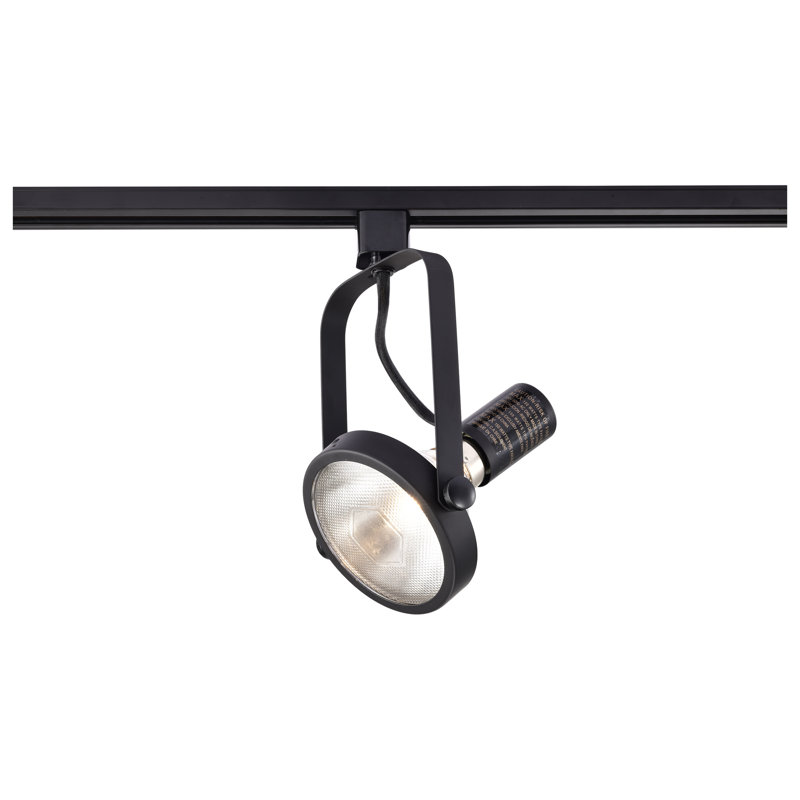 1 Light - PAR38 - Track Head - Gimbal Ring, PAR38 Incandescent 150W