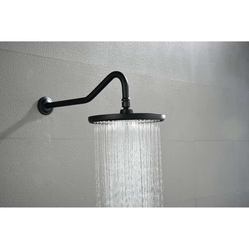 Bras de douche en acier inoxydable noir mat, solide et durable, installation de nettoyage simple, facile à installer et à nettoyer