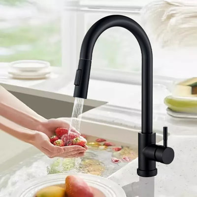 AlenArtWater Pull Down Kitchen Faucet