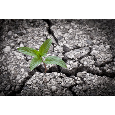 New Life by Ferhatmatt