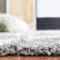 Alonnah Shag Performance Geometric Rug