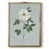 Gold Framed Canvas