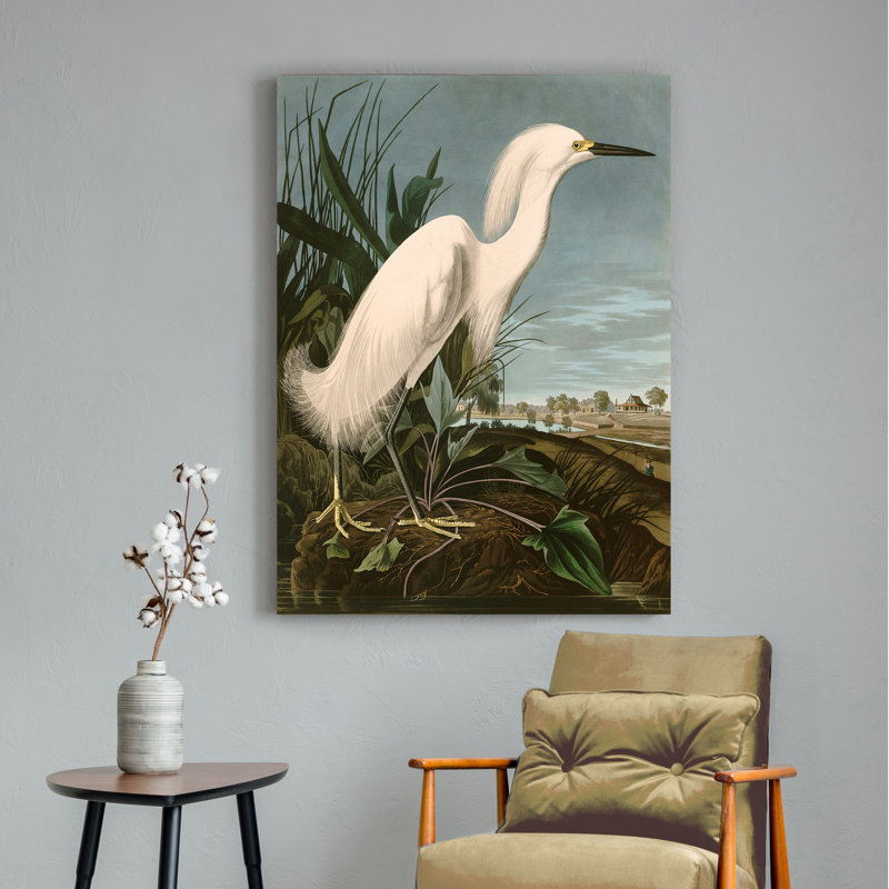 Snowy Heron Or White Egret by John Audubon - Wrapped Canvas Painting, 100cm H x 70cm W x 4cm D