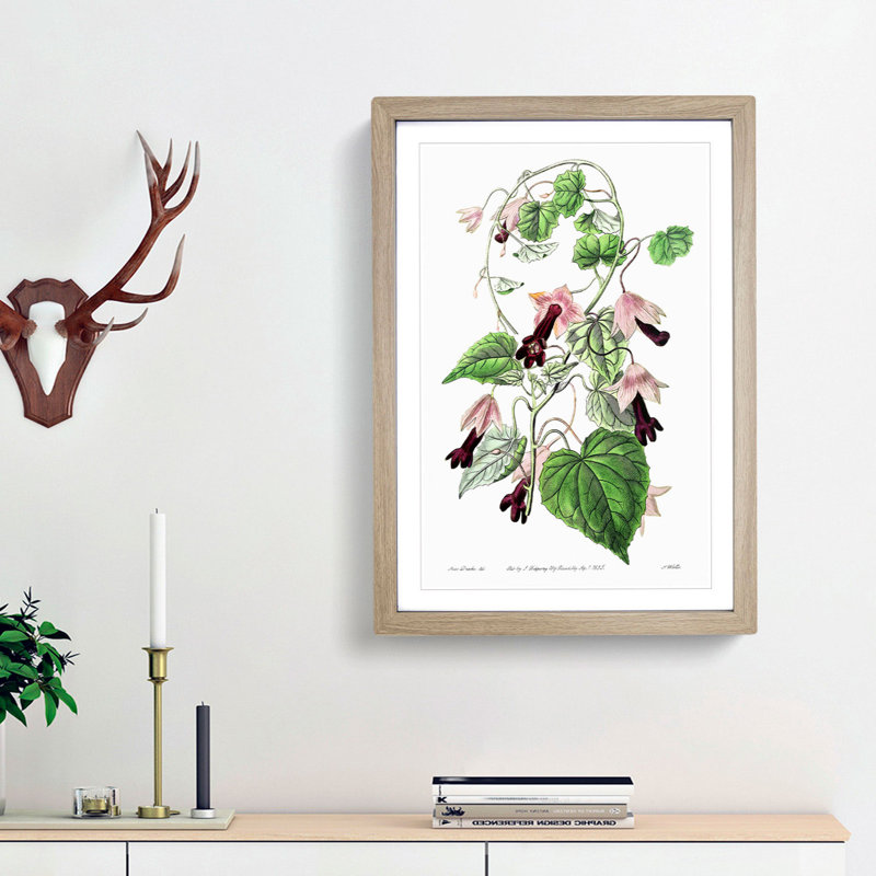 Purple Bell Vine Flowers - Framed Print, 36cm H x 27cm W x 2cm D, Oak Framed