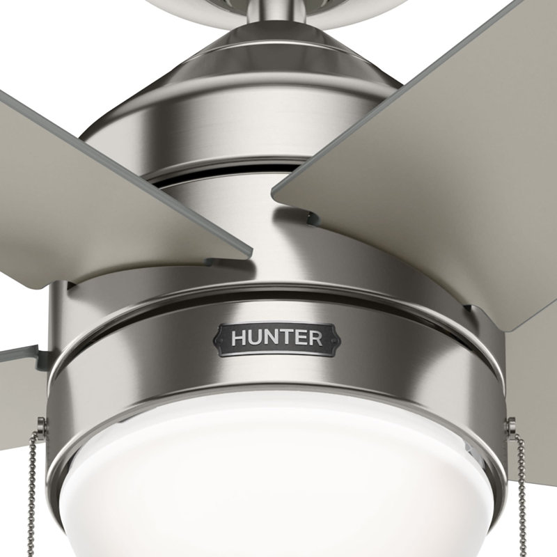 44" Rogers 5 - Blade Standard Ceiling Fan with Lights, Brushed Nickel