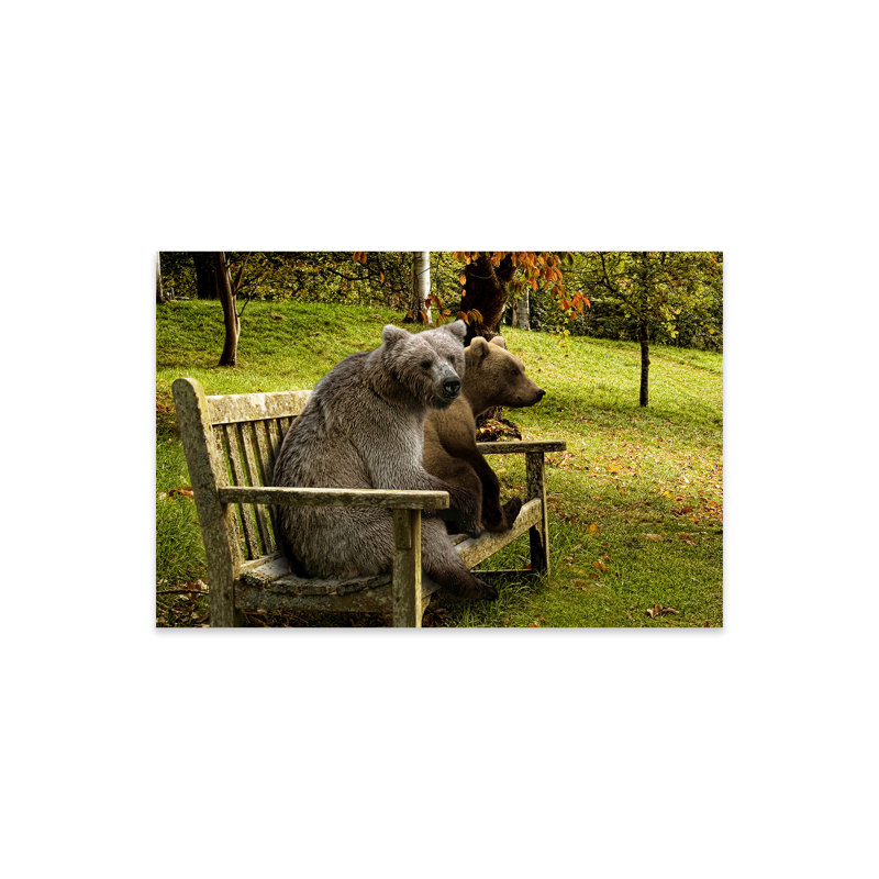 Ours assis sur un banc sur plastique / acrylique par Panoramic Images Print