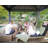 Palram - Canopia Dallas 14' W x 12' D Aluminum Polycarbonate Outdoor Backyard Patio Gazebo Gray-90556532