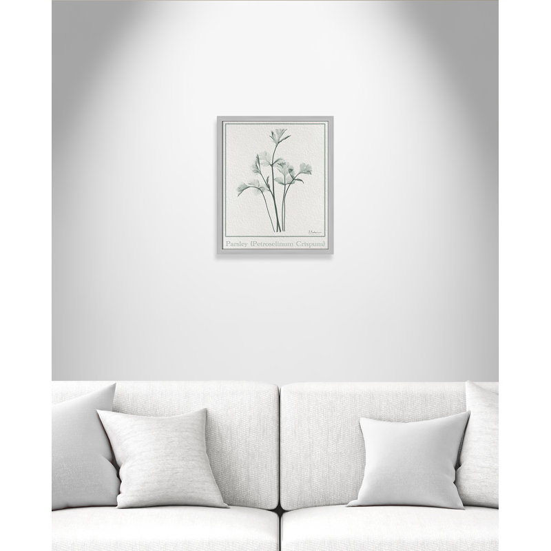 Parsley II by Albert Koetsier, Matte Silver Framed Paper, 19" H x 16" W x 1.25" D