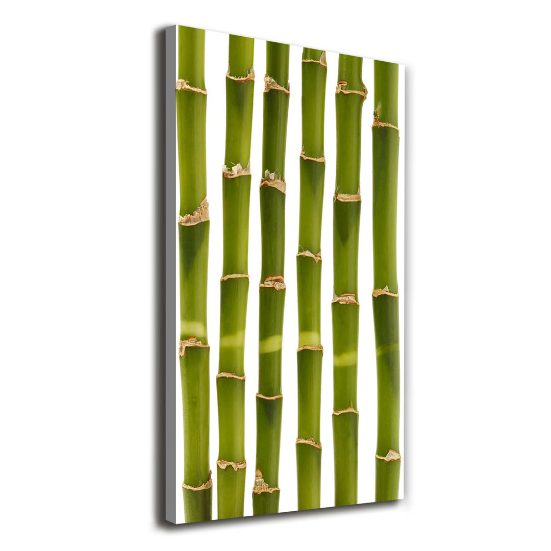 Bamboo - Kunstdrucke auf Leinwand