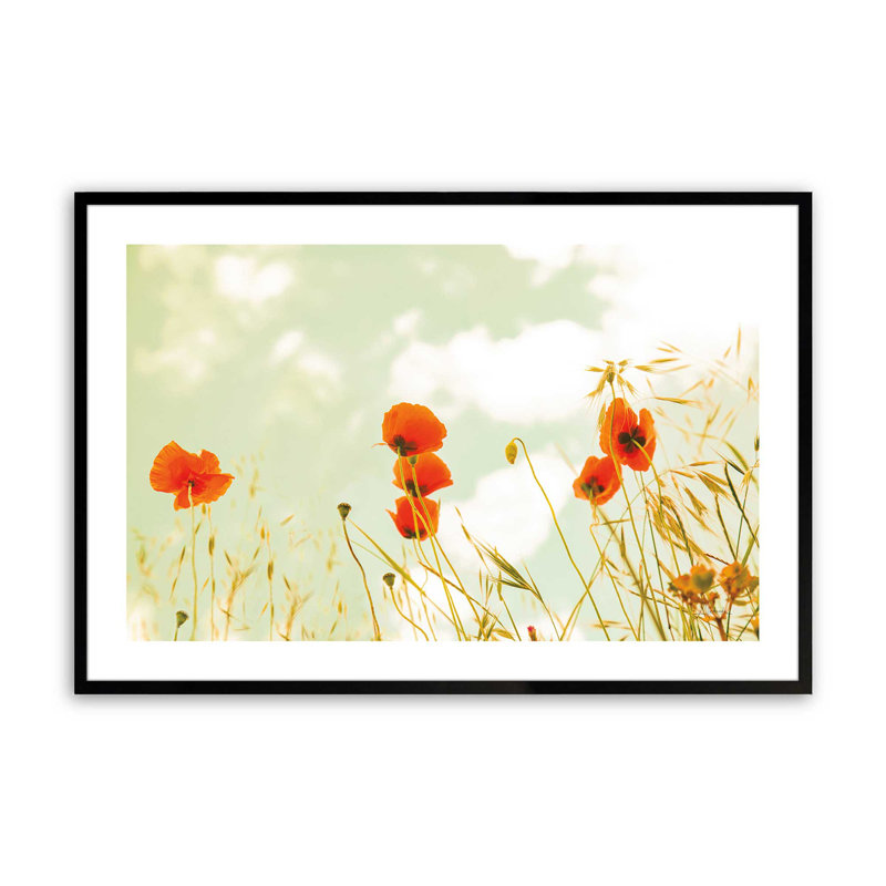 " Gentle Poppy Breeze ", Satin Black, 17" H x 21" W