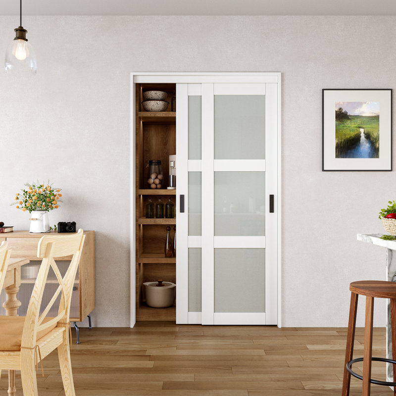 48 in. x 80 in. White Tempered Frosted Glass Sliding Closet Door