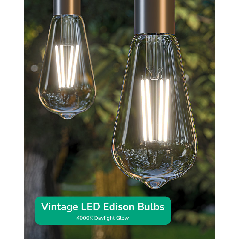 Equivalent ST64 E26/Medium (Standard) Dimmable 4000K LED Bulb