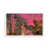 Pop Pink selected