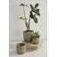 Pot Verde 4,5 po x 4 po-840108297