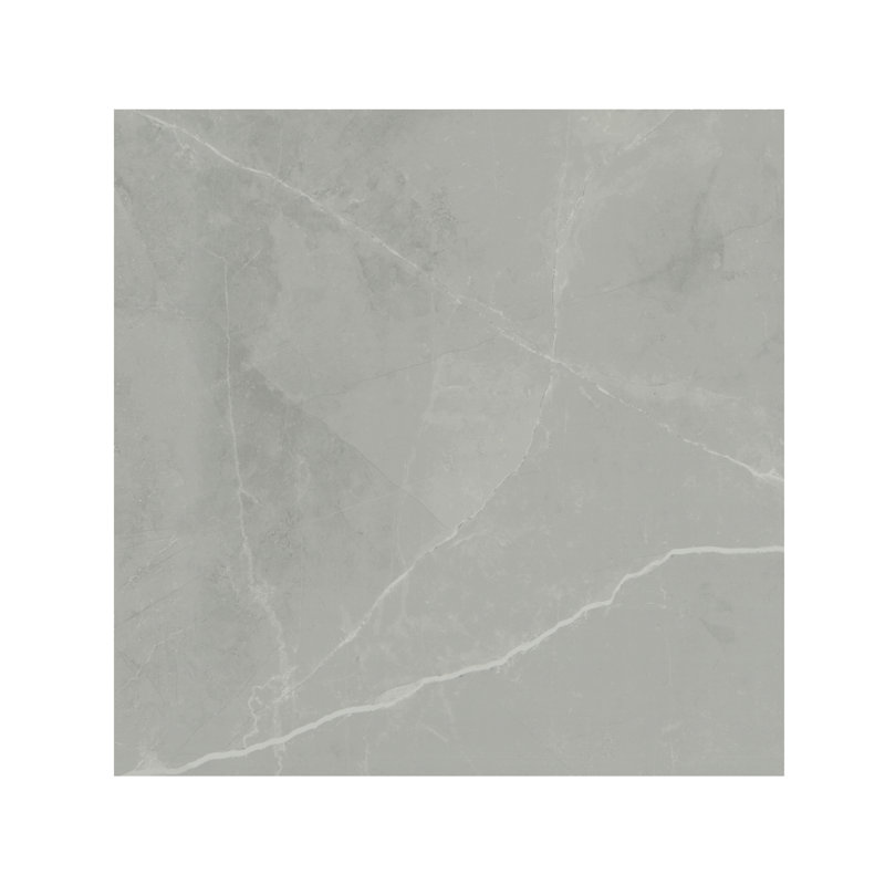 Sonoma 24 in. x 24 in. Matte Porcelain Stone Look Floor and Wall Tile, Gravelle
