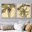 Ensemble de 2 reproductions d'art sur toile rétro encadrées de plantes botaniques-123400191-123400188