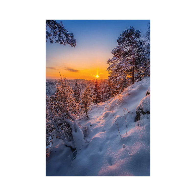 Tracks In The Snow I by Lauri Lohi - Wrapped Canvas Print, 101.6 cm H x 66.04 cm W x 3.175 cm D