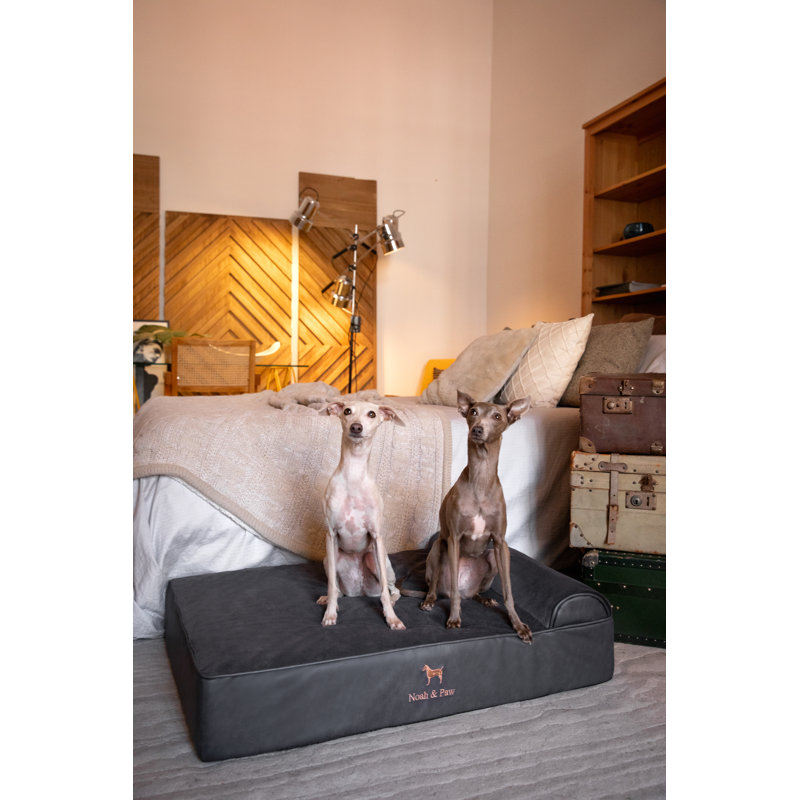  Lit orthopédique pour chien géant XXL, mousse viscoélastique infusée de gel rafraîchissant, imperméable, lavable à la machine, avec housse intérieure (similicuir)