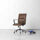Eaves Swivel Office Chair