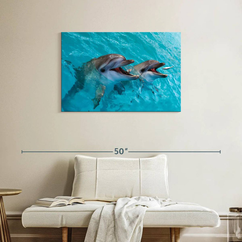 Brampt Cute Dolphins, 24" H x 36" W