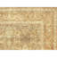 Wool Oriental Area Rug in Gold