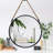 Rope Wall Mirror