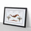Seahorse & Sea Dragon by M.E. Bloch - Picture Frame Painting Print-55613730-55613728