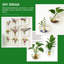 Ensemble de 4 jardinières murales, station de propagation murale Vases en verre suspendus Terrarium