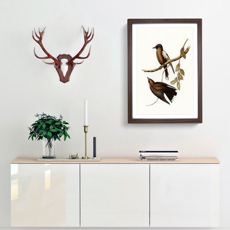 Grey-Breasted Wood swallows by Elizabeth Gould - Picture Frame Painting Print, Walnut Framed, 36cm H x 27cm W x 2cm D