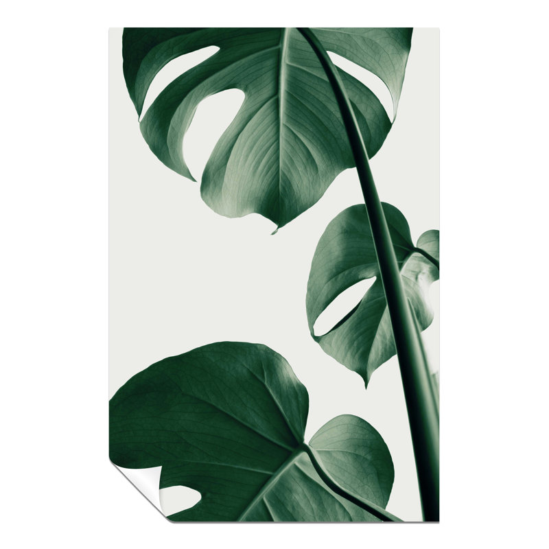 Green Monstera Plant 2 Leaves - No Frame Print, 31cm H x 20cm W x 1cm D