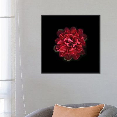 «In Red», impression sur toile