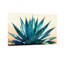 «Plants & Flowers Blue Agave Plant Desert Landscape», reproduction d'art-2071949379-2071949381-2071949380