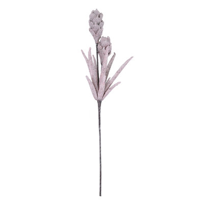 Protea Arrangement