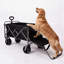 Poussette multifonctionnelle et chariot utilitaire avec auvent, pliable, robuste, noir-135760501