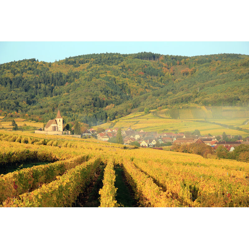 Vineyard, Hunawihr, Alsace 1 Piece Wrapped Canvas Wall Art, 20cm H x 30cm W